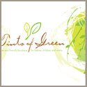 Tints of Green &nbsp;&nbsp;&nbsp; note card